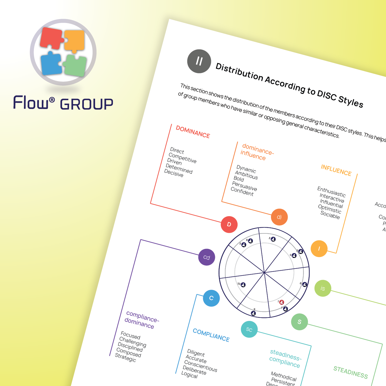 DISC Flow® GROUP
