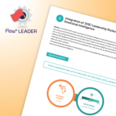 DISC Flow® LÃNH ĐẠO