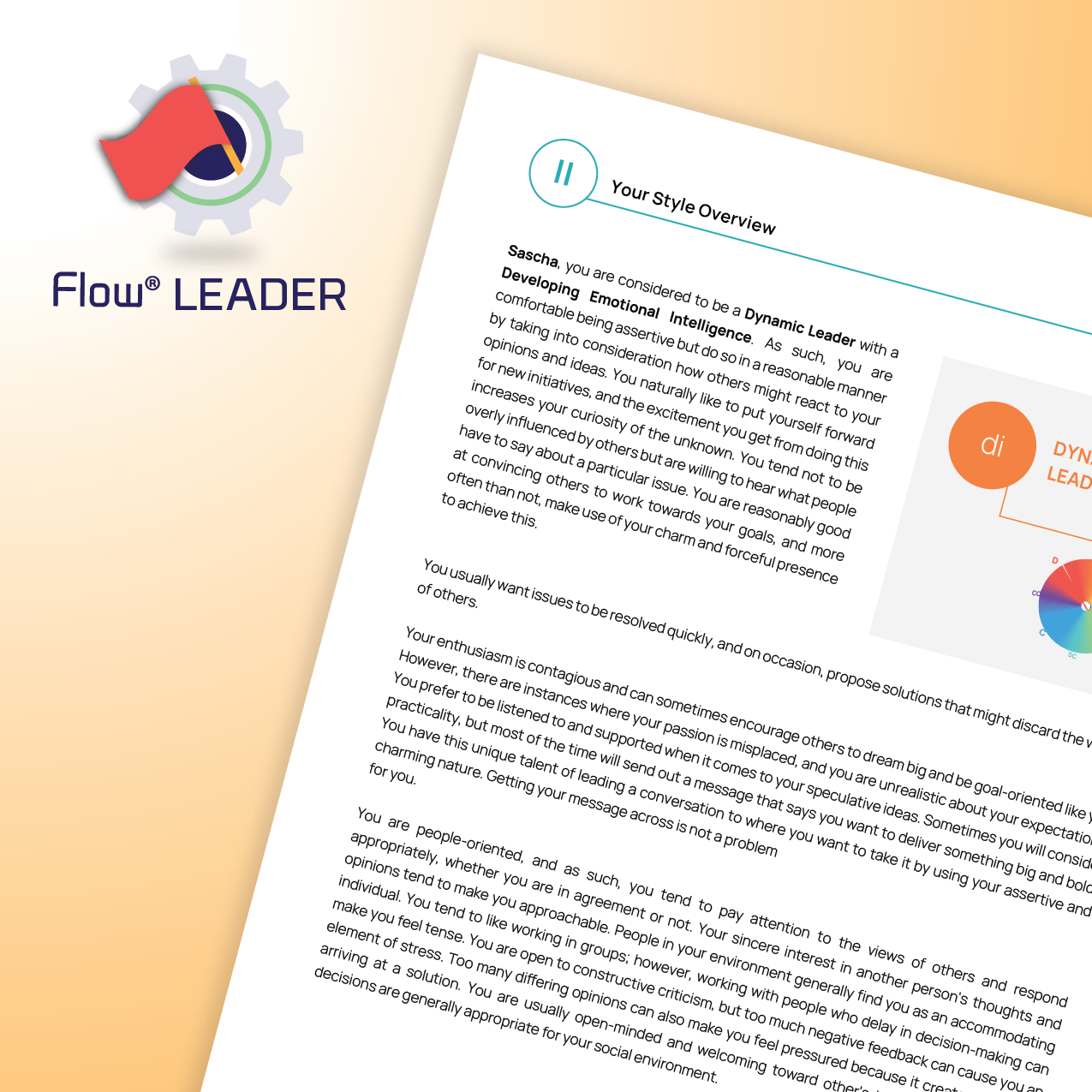 DISC Flow® LÃNH ĐẠO