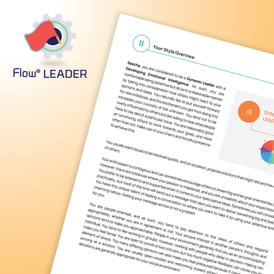 DISC Flow® LÃNH ĐẠO