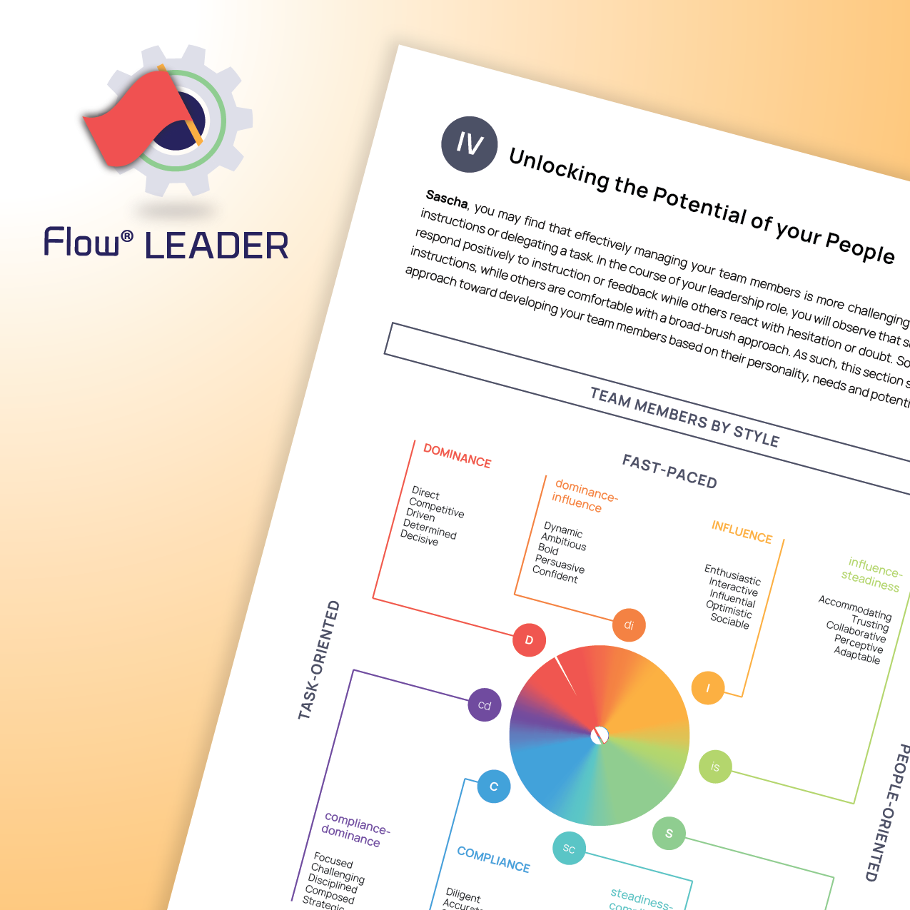 DISC Flow® LÃNH ĐẠO