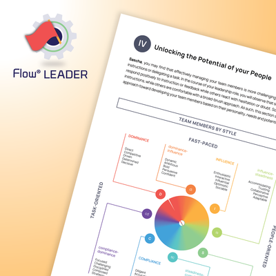 DISC Flow® LÃNH ĐẠO