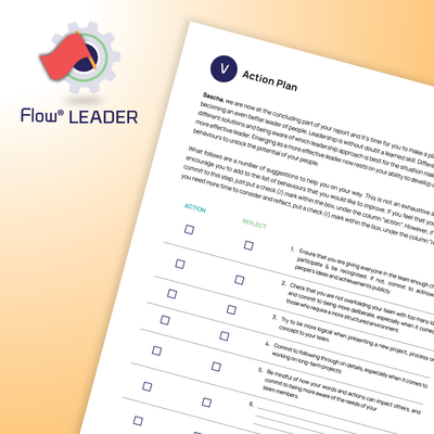 DISC Flow® LÃNH ĐẠO